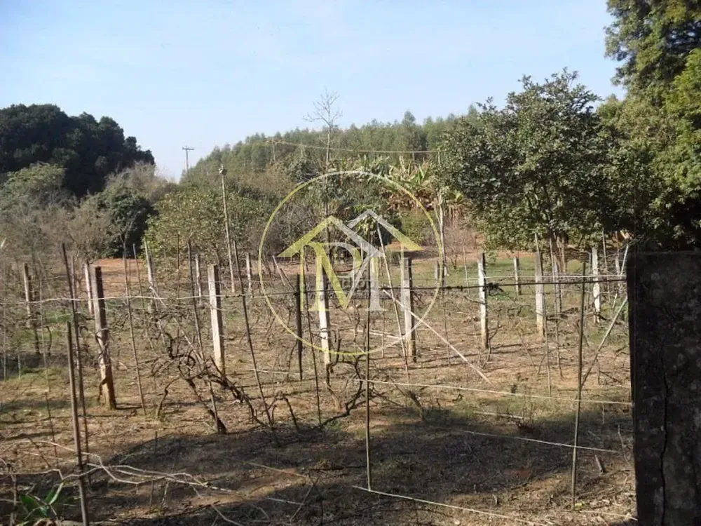 Sítio, 5 quartos, 3 hectares - Foto 8