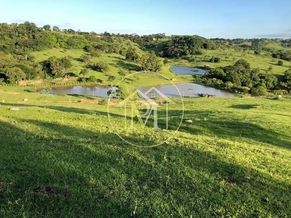 Sítio, 4 quartos, 9 hectares - Foto 2