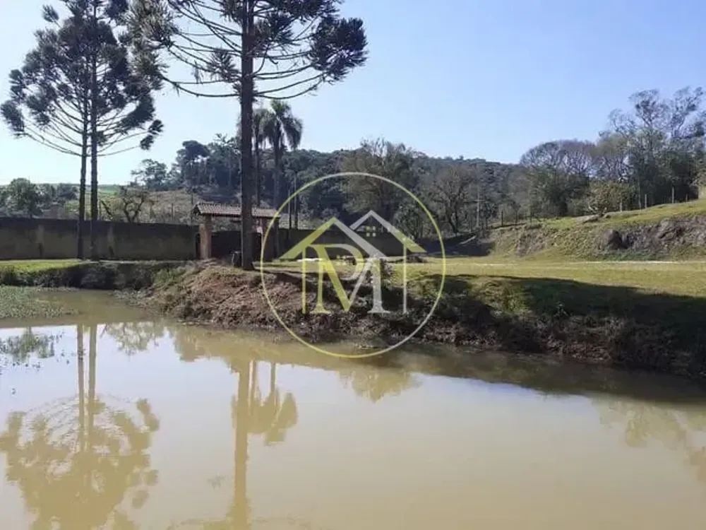 Chácara, 3 quartos, 2 hectares - Foto 6