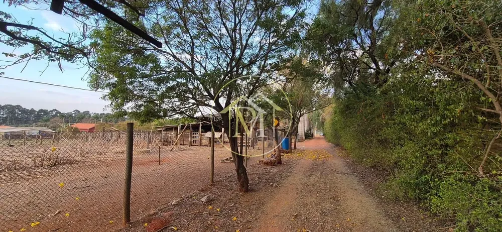 Chácara, 4 quartos, 2 hectares - Foto 1