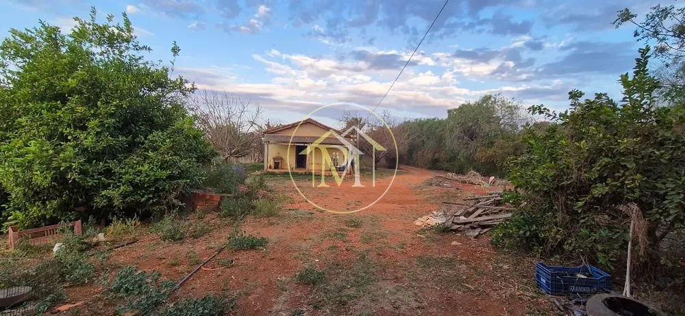 Chácara, 4 quartos, 2 hectares - Foto 10
