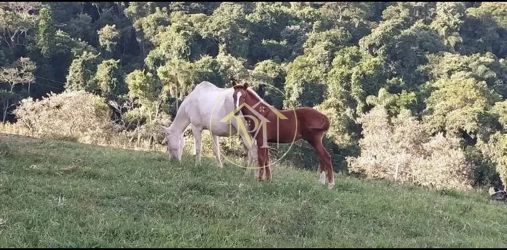 Chácara, 18 hectares - Foto 9