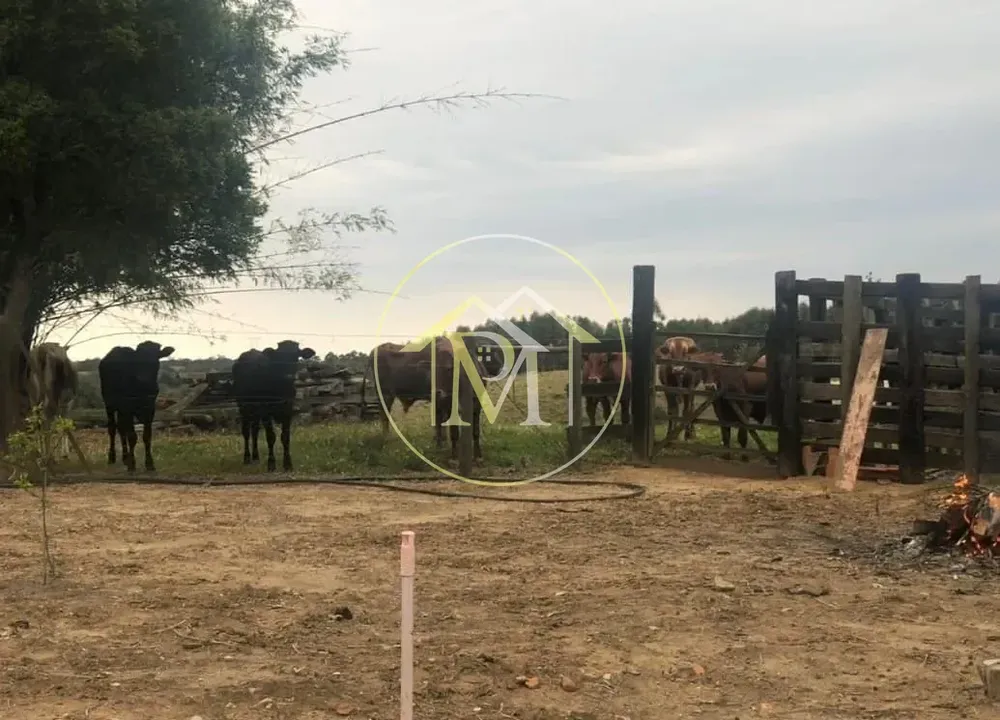 Chácara, 18 hectares - Foto 10