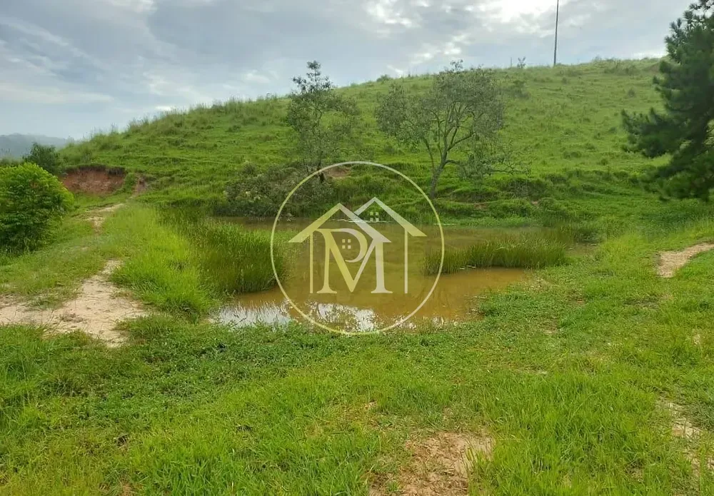 Chácara, 18 hectares - Foto 12