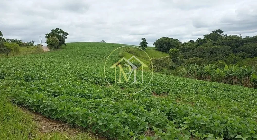 Chácara, 18 hectares - Foto 11