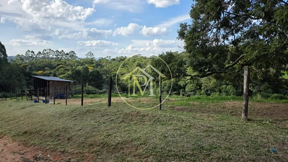 Sítio, 3 quartos, 6 hectares - Foto 11