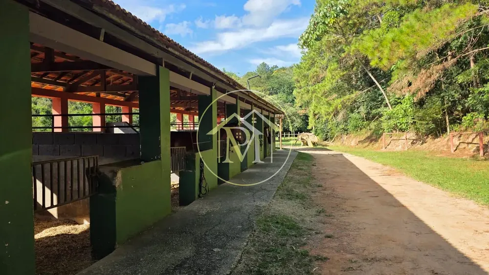 Sítio, 3 quartos, 6 hectares - Foto 6
