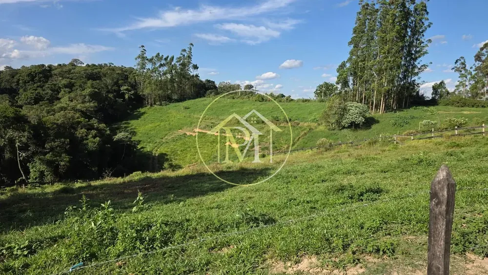 Sítio, 3 quartos, 6 hectares - Foto 4