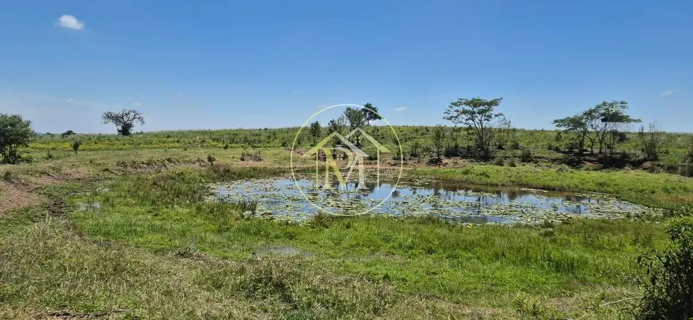 Terreno, 19 hectares - Foto 7