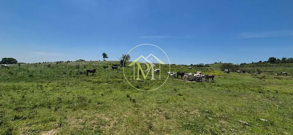 Terreno, 19 hectares - Foto 1