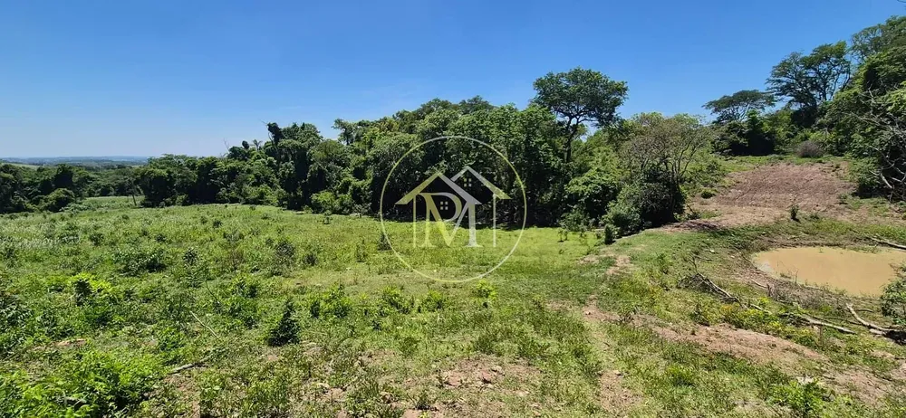 Terreno, 19 hectares - Foto 6
