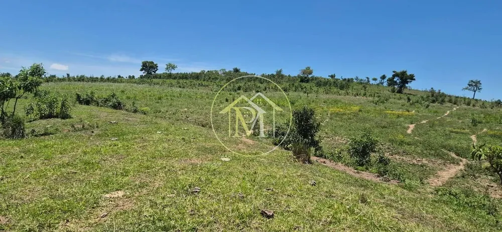Terreno, 19 hectares - Foto 3