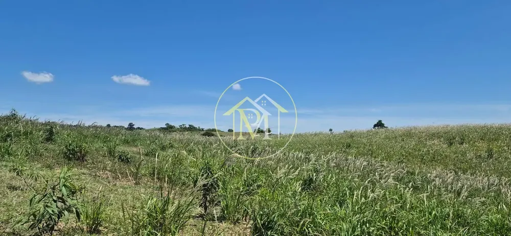Terreno, 19 hectares - Foto 4