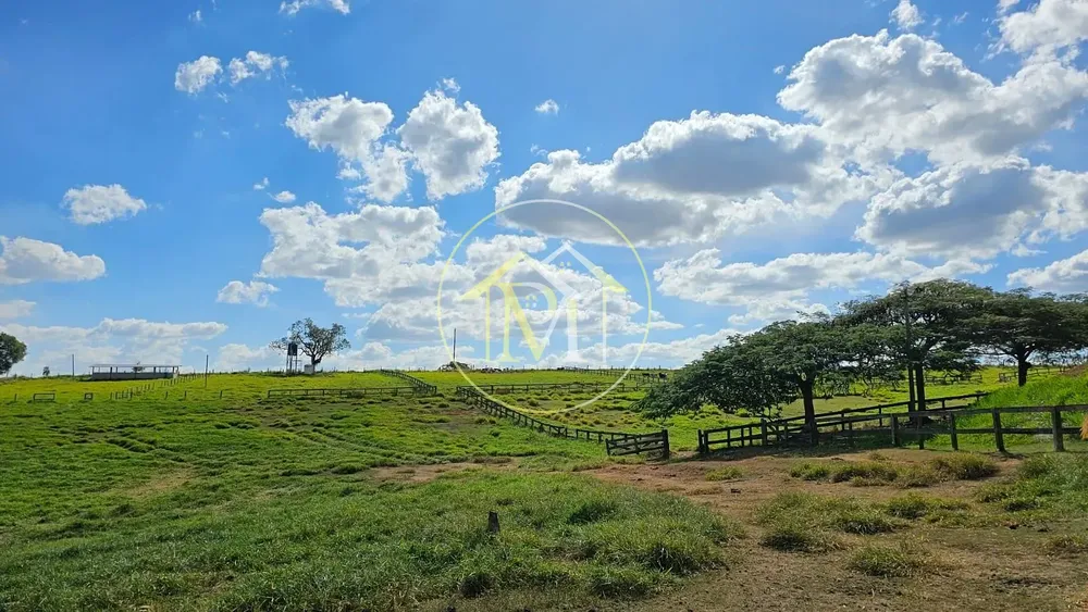 Fazenda, 24 hectares - Foto 3