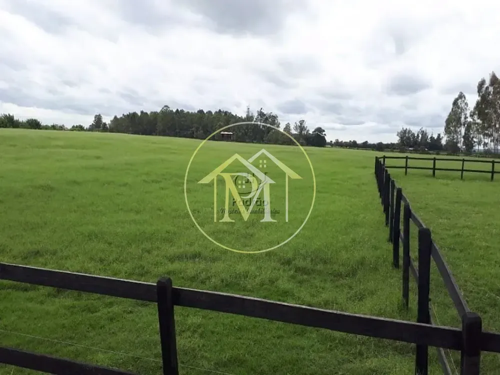 Fazenda, 73 hectares - Foto 2