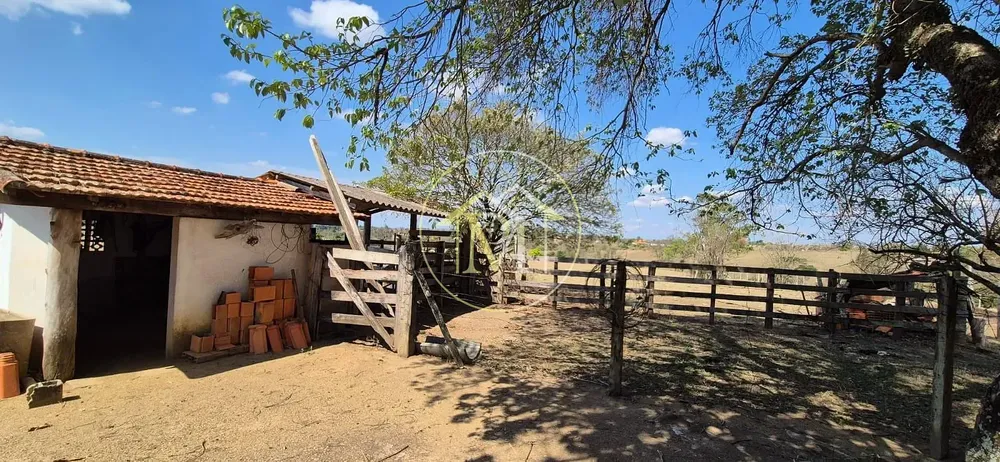 Sítio, 4 quartos, 400 m² - Foto 3