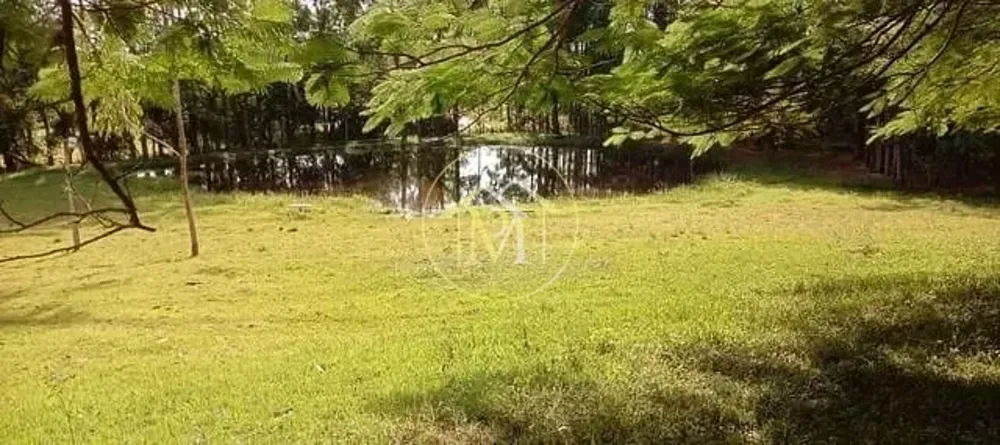 Chácara, 5 quartos, 3 hectares - Foto 6