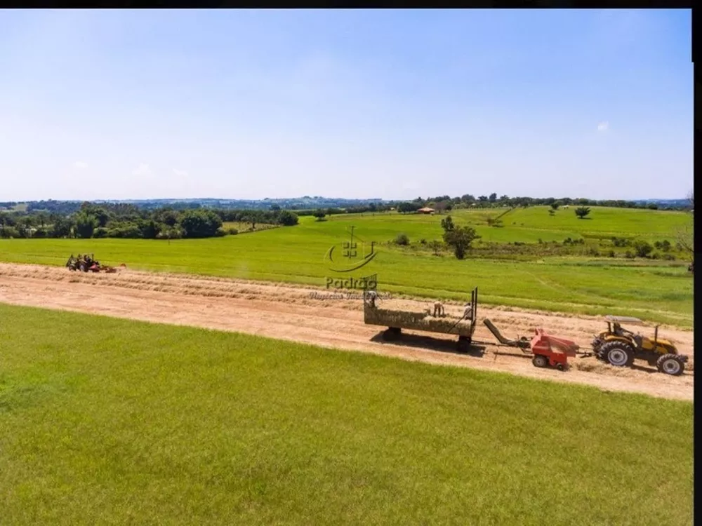 Haras e Área Rural Padrão à venda com 2 quartos, 1518791m² - Foto 7