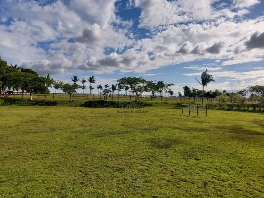 Haras e Área Rural Padrão à venda com 2 quartos, 1518791m² - Foto 8