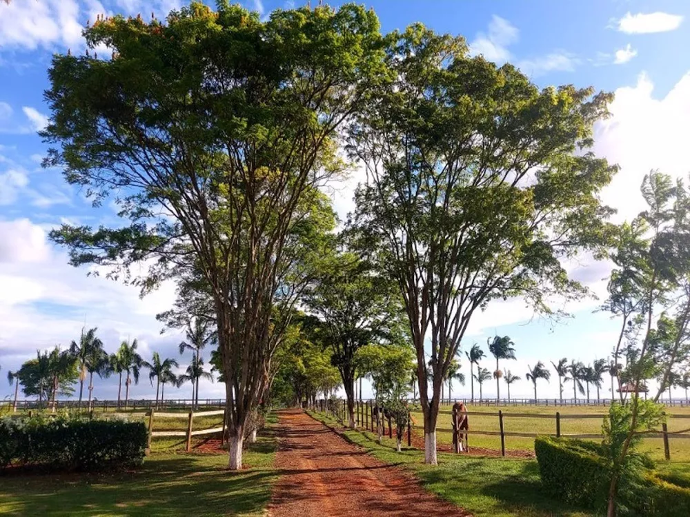 Haras e Área Rural Padrão à venda com 2 quartos, 1518791m² - Foto 4