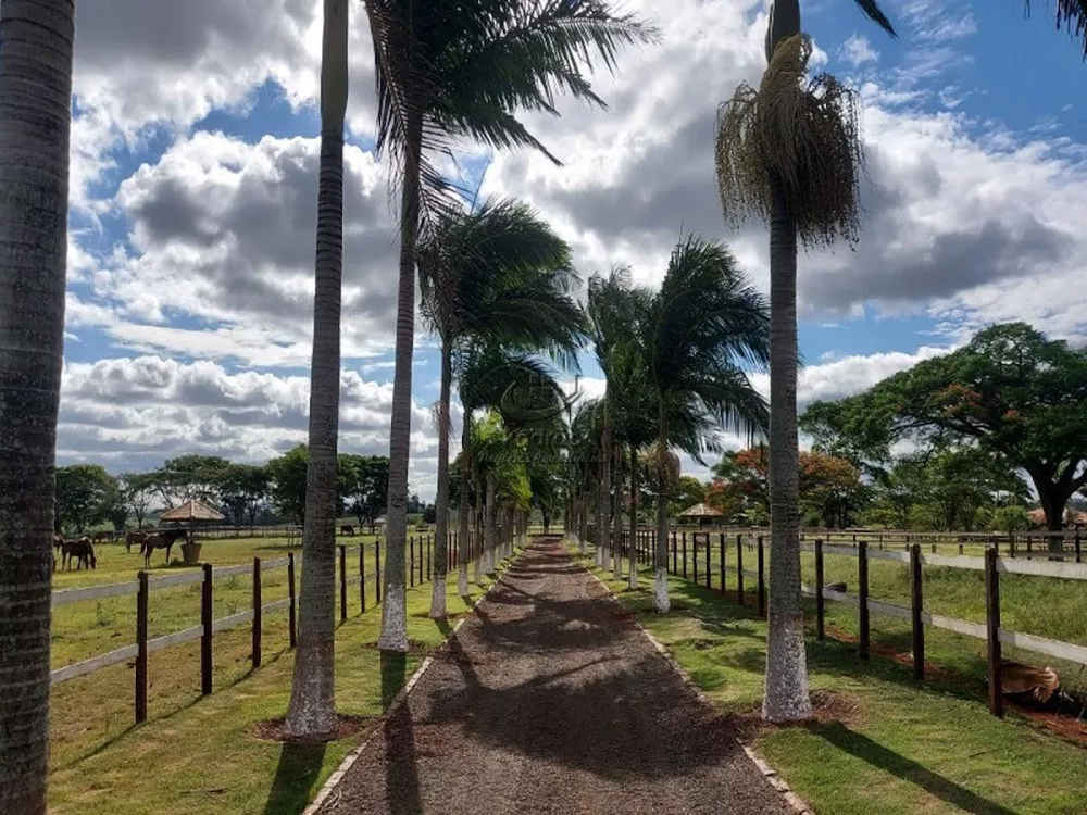 Haras e Área Rural Padrão à venda com 2 quartos, 1518791m² - Foto 3