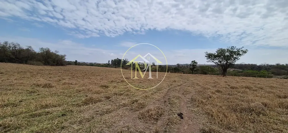 Terreno, 19 hectares - Foto 10