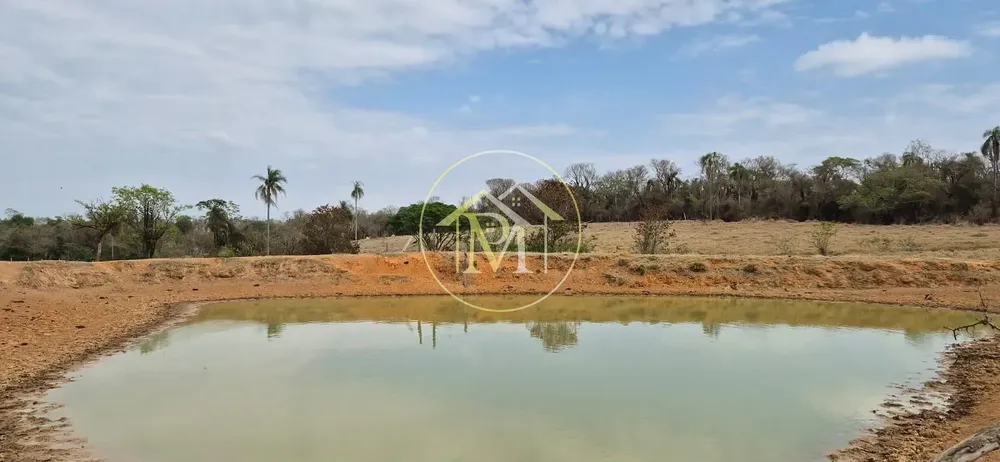 Terreno, 19 hectares - Foto 4