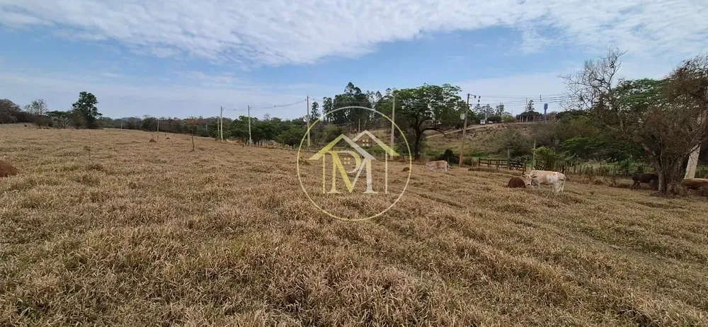 Terreno, 19 hectares - Foto 9
