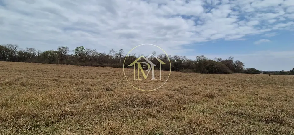 Terreno, 19 hectares - Foto 6