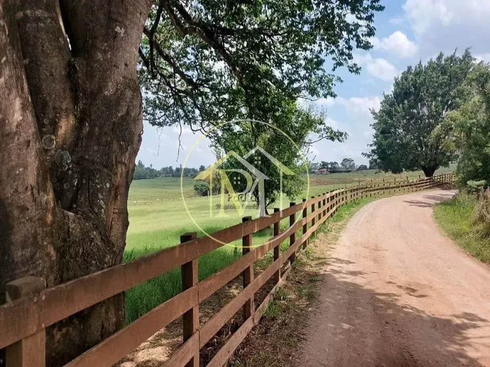 Fazenda, 17 hectares - Foto 7