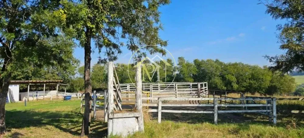 Sítio, 8 quartos, 25 hectares - Foto 2