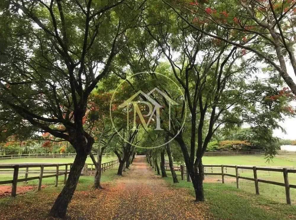 Sítio, 8 quartos, 25 hectares - Foto 10