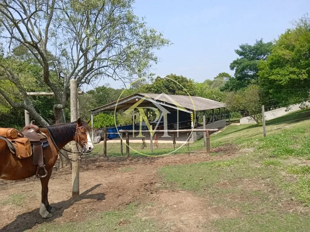 Fazenda, 8 hectares - Foto 11