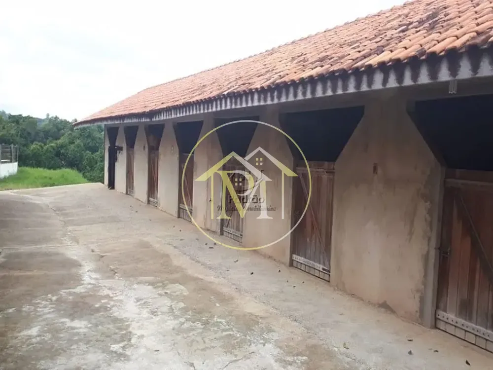 Sítio, 4 quartos, 8 hectares - Foto 1