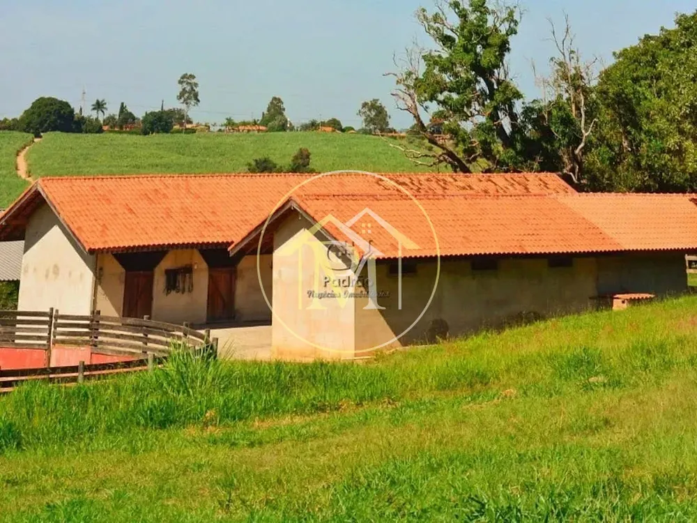 Fazenda, 8 hectares - Foto 3