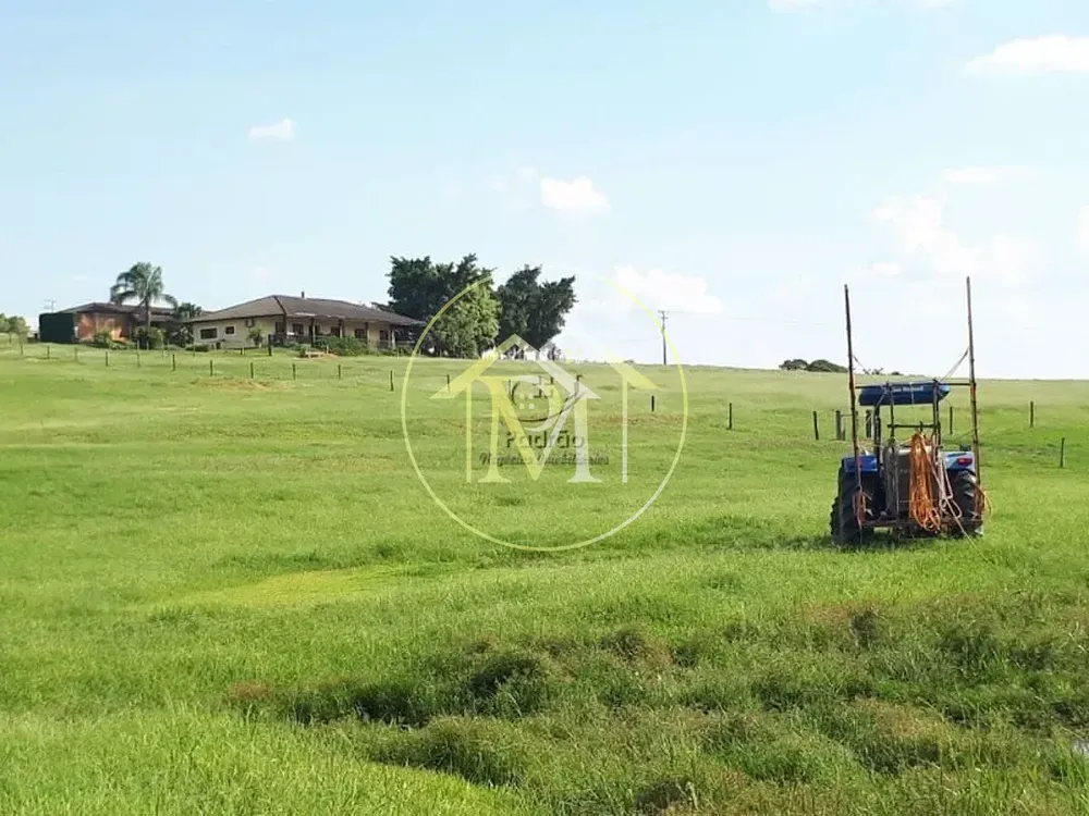 Fazenda, 20 hectares - Foto 3