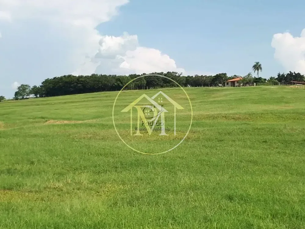 Fazenda, 20 hectares - Foto 7