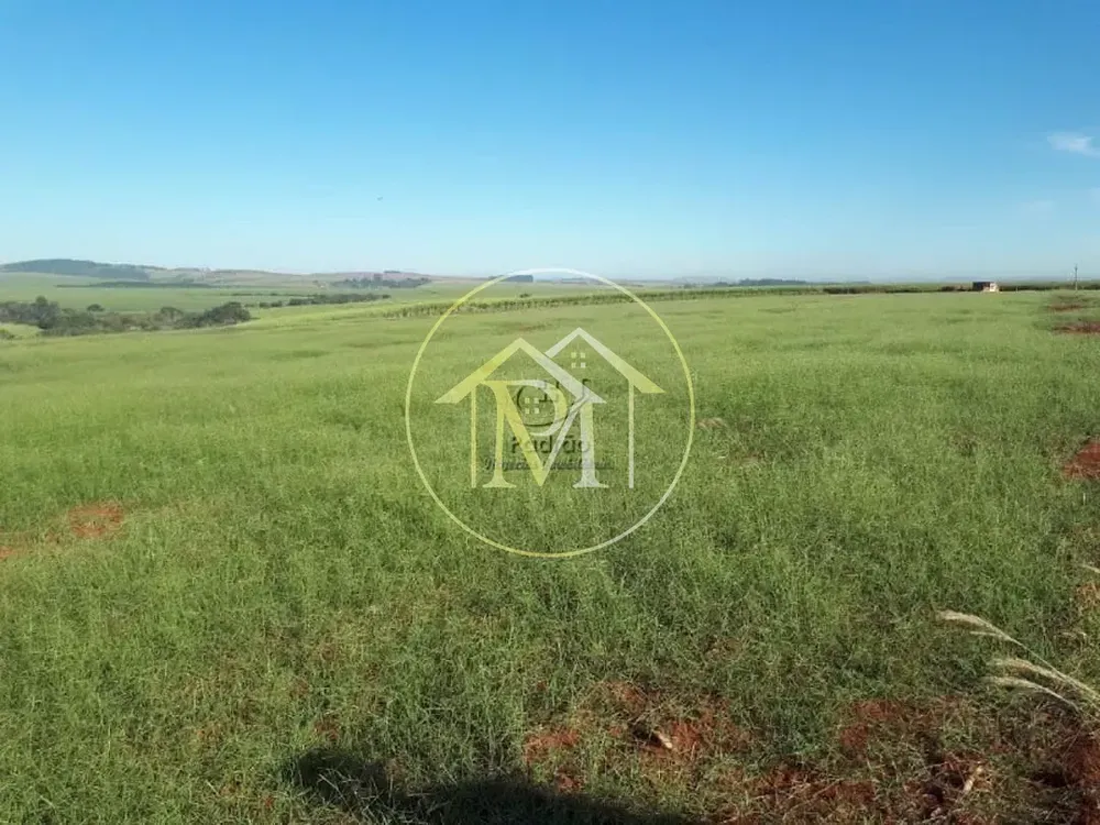 Fazenda, 20 hectares - Foto 8