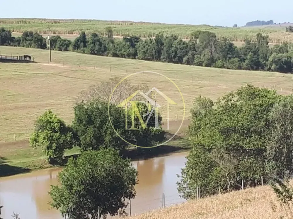 Fazenda, 20 hectares - Foto 4