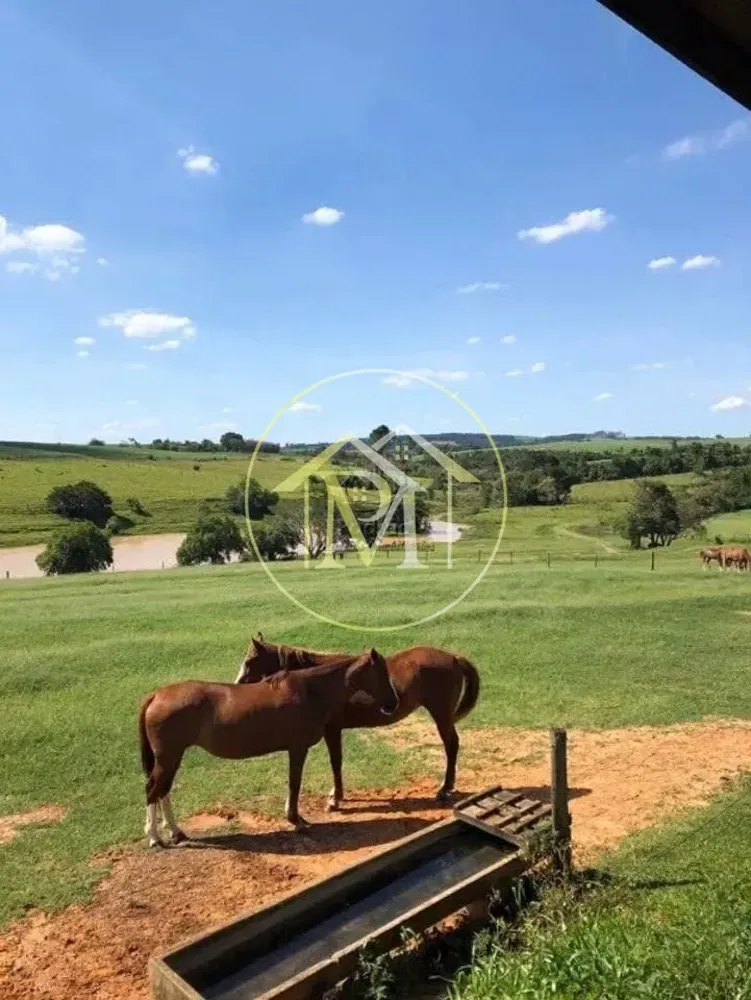 Fazenda, 20 hectares - Foto 6
