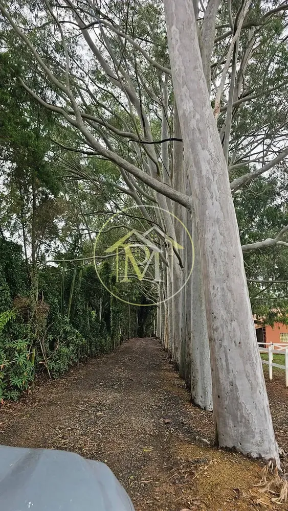 Sítio, 5 quartos, 7 hectares - Foto 4