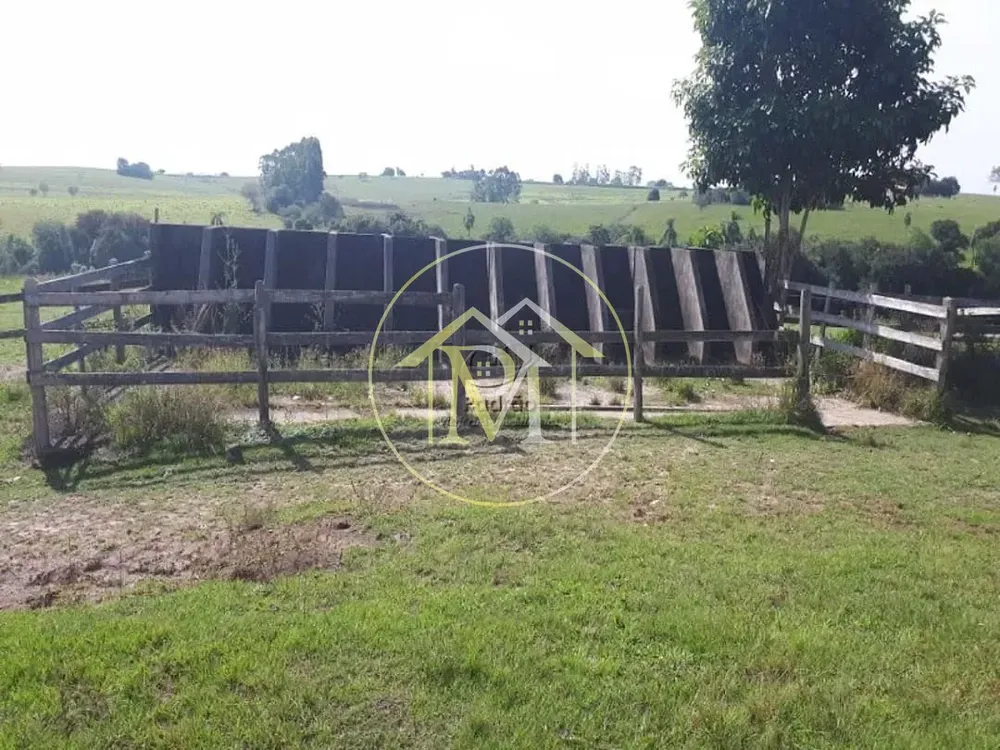 Fazenda, 73 hectares - Foto 4