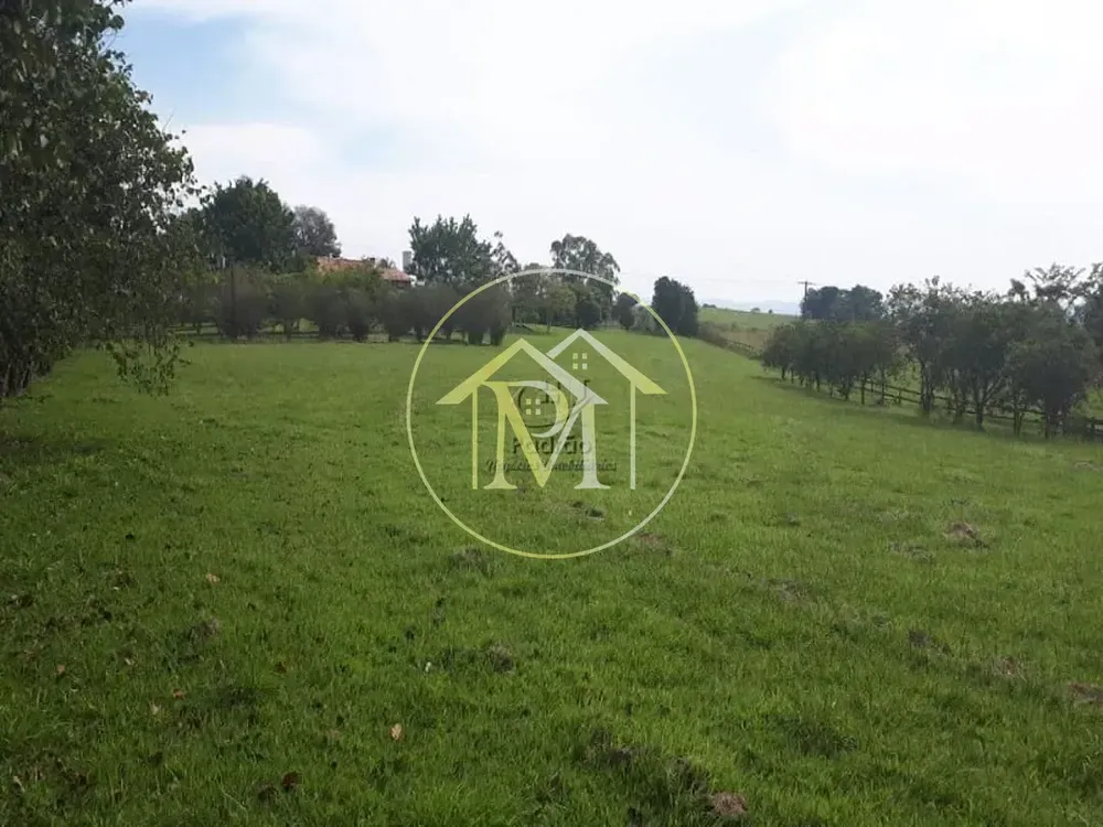 Fazenda, 73 hectares - Foto 6