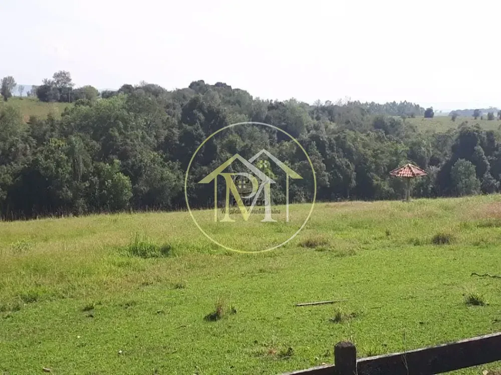 Fazenda, 73 hectares - Foto 12