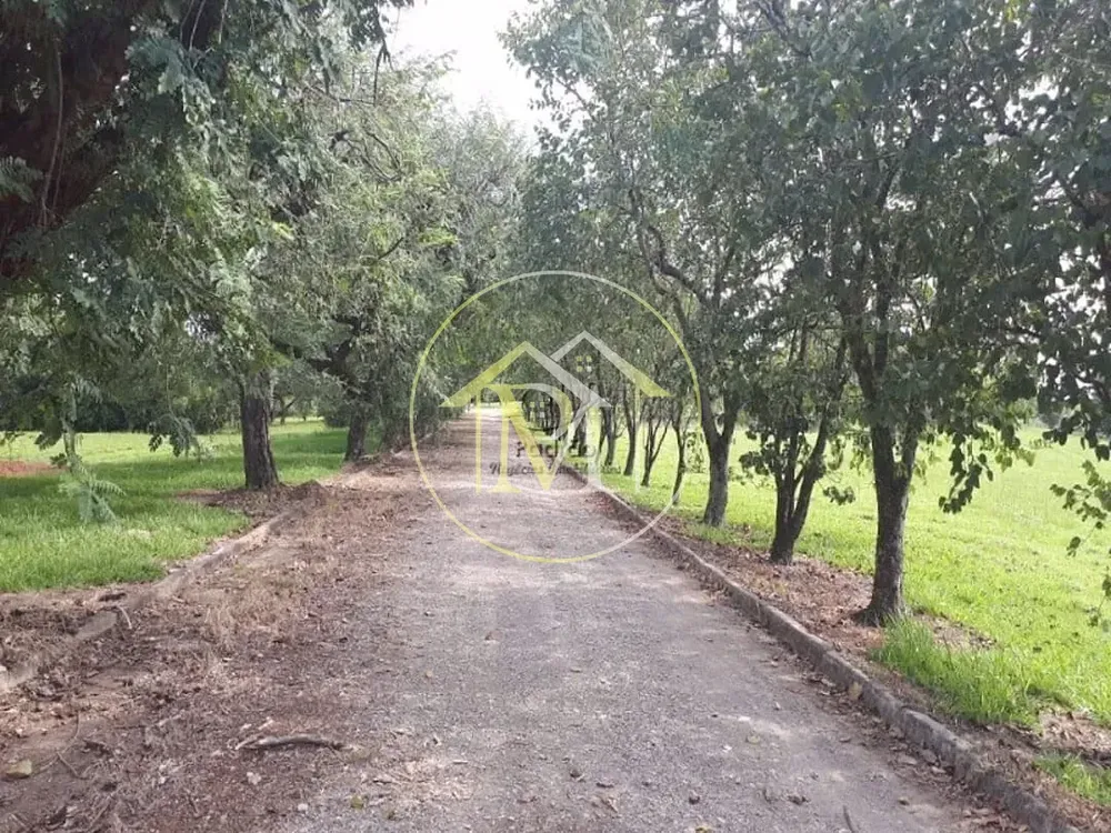 Fazenda, 73 hectares - Foto 7