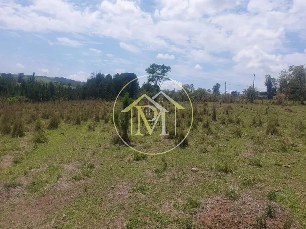Fazenda, 44 hectares - Foto 1
