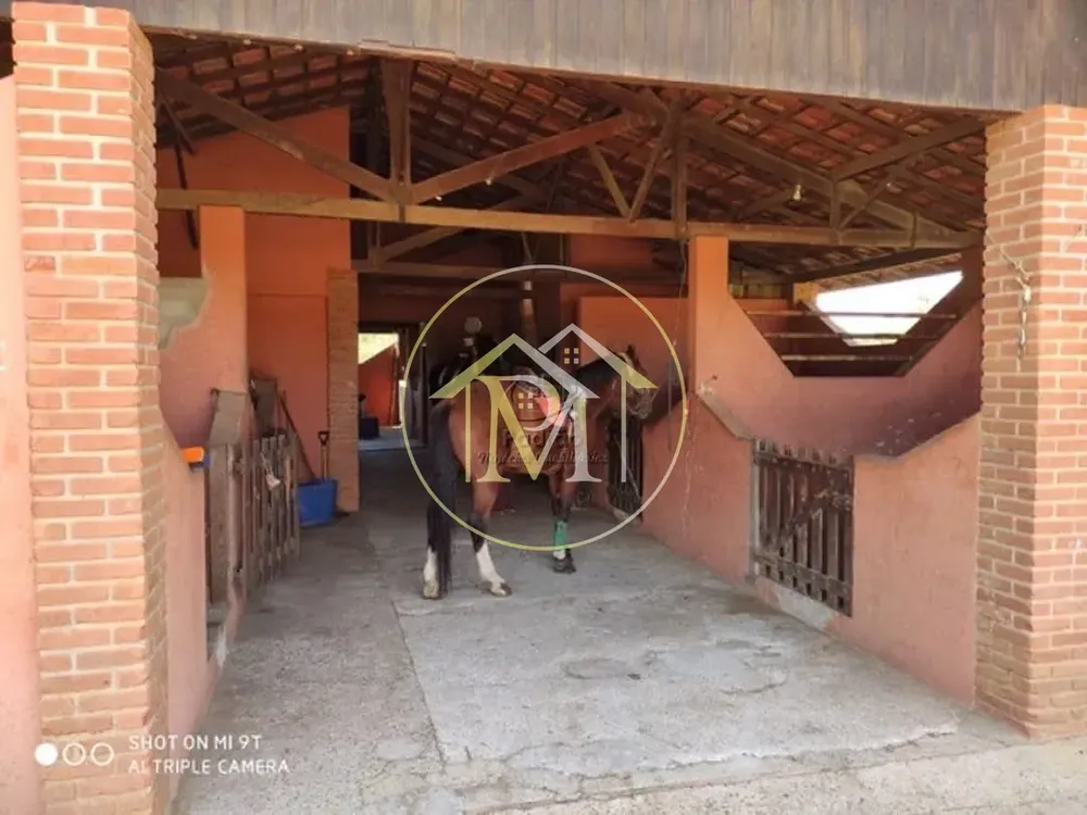 Fazenda, 6 hectares - Foto 3