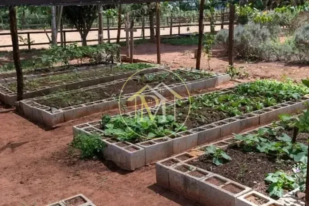 Fazenda, 2 hectares - Foto 8