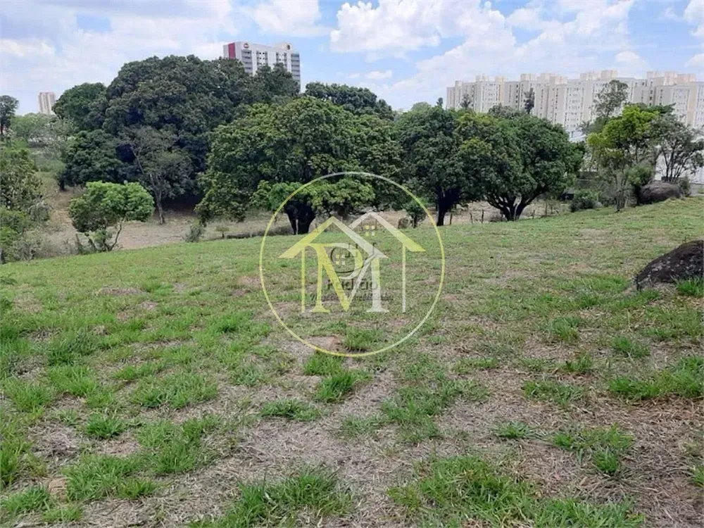 Terreno, 4 hectares - Foto 8