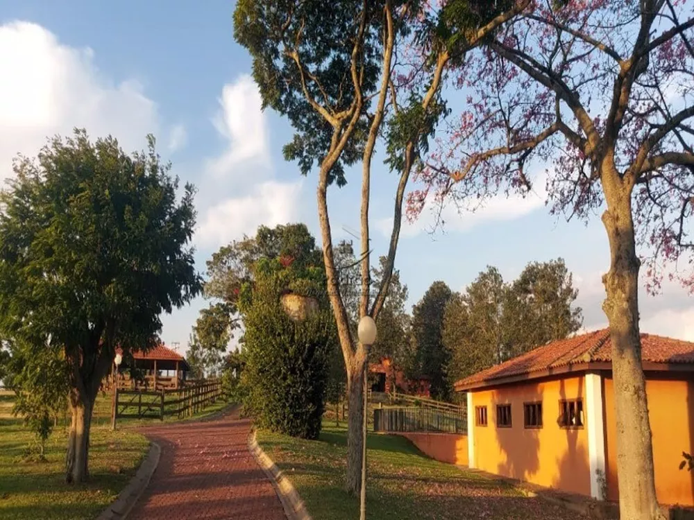 Haras e Área Rural Padrão à venda com 6 quartos, 450m² - Foto 3